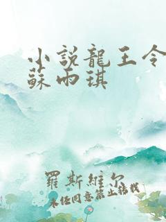 小说龙王令陈平苏雨琪