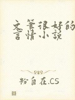 文笔很好的现代言情小说