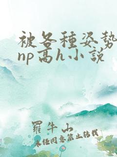 被各种姿势玩弄np高h小说