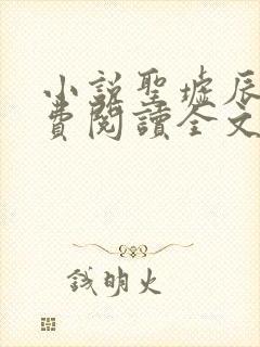 小说圣墟辰东免费阅读全文无窗口