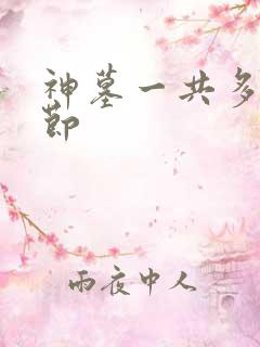 神墓一共多少章节