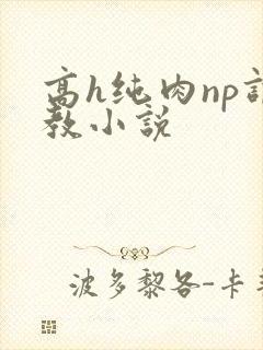 高h纯肉np调教小说