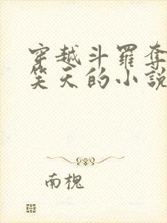 穿越斗罗夺舍风笑天的小说