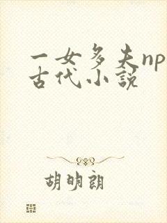 一女多夫np的古代小说