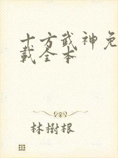 十方武神免费下载全本