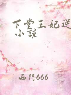 下堂王妃逆袭记 小说