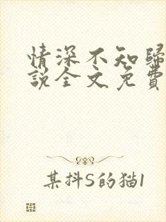 情深不知归处小说全文免费阅读