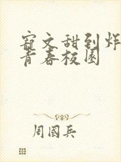 宠文甜到炸无虐青春校园