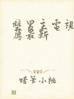 双男主电视剧推荐最新