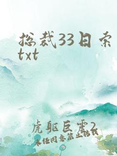 总裁33日索情txt