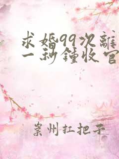 求婚99次离婚一秒钟收官