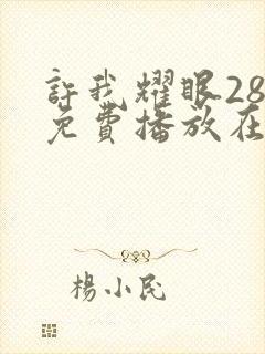 许我耀眼28集免费播放在线观看