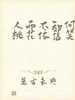 人面不知何处去桃花依旧笑什么意思