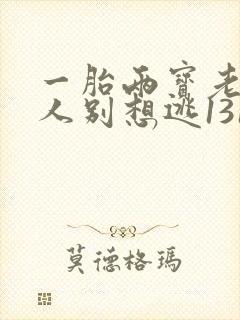 一胎两宝老婆大人别想逃1318章