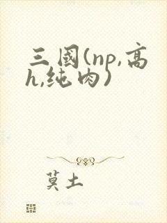 三国(np,高h,纯肉)