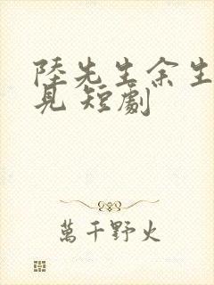 陆先生余生不再见 短剧