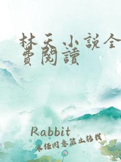 林天小说全文免费阅读