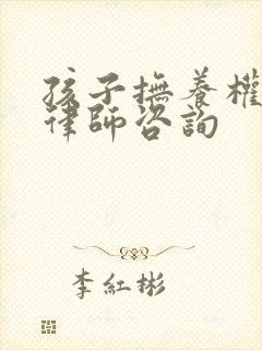 孩子抚养权官司律师咨询