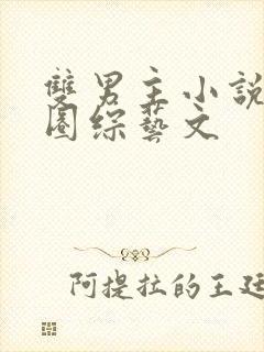 双男主小说娱乐圈综艺文