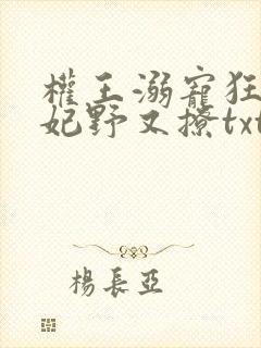 权王溺宠狂傲王妃野又撩txt