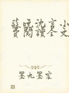 苏晚沈言小说免费阅读全文无弹窗