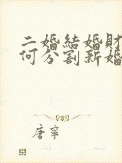 二婚结婚财产如何分割新婚姻法