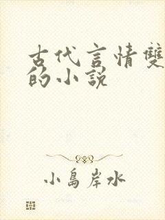 古代言情双男主的小说