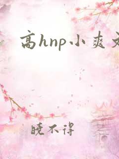 高hnp小爽文