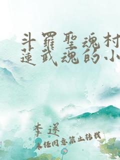 斗罗圣魂村,青莲武魂的小说