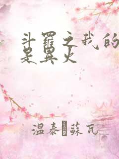 斗罗之我的武魂是异火