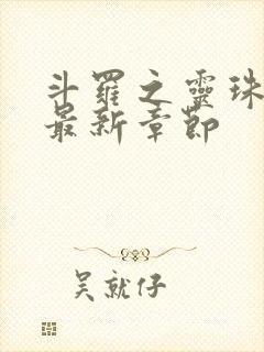 斗罗之灵珠神剑最新章节