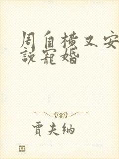 周自横又安的小说宠婚