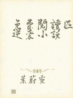 免费阅读匹夫的逆袭小说