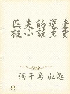 匹夫的逆袭骁骑校小说免费阅读全文无删减