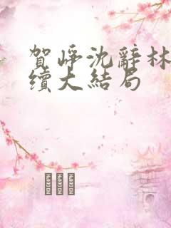 贺峥沈辞林薇后续大结局