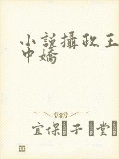 小说摄政王的掌中娇