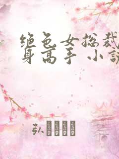 绝色女总裁的贴身高手 小说