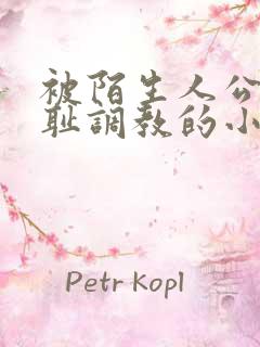 被陌生人公开羞耻调教的小说