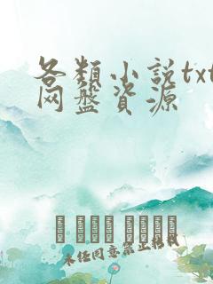 各类小说txt网盘资源
