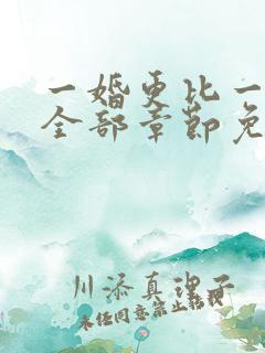 一婚更比一婚高全部章节免费阅读