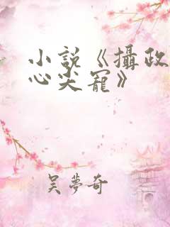 小说《摄政王的心尖宠》