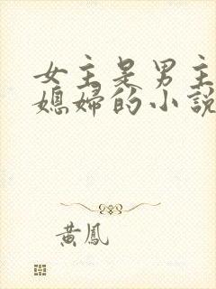 女主是男主的儿媳妇的小说