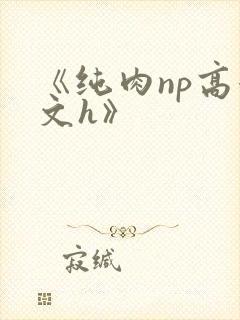 《纯肉np高辣文h》