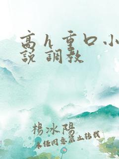 高 h 重口小说 调教