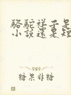 骆驼祥子是长篇小说还是短篇小说