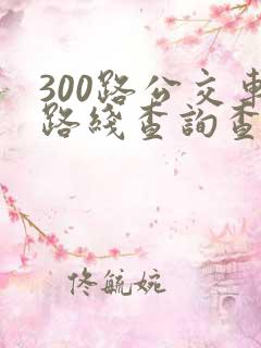 300路公交车路线查询查