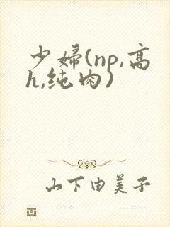 少妇(np,高h,纯肉)