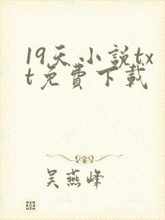 19天小说txt免费下载
