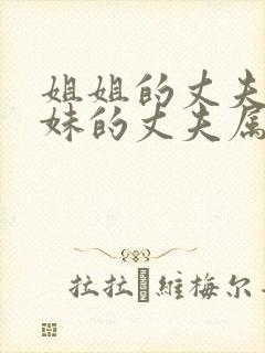 姐姐的丈夫和妹妹的丈夫属于什么关系