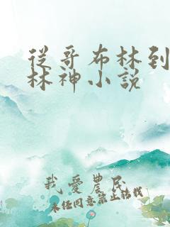 从哥布林到哥布林神小说